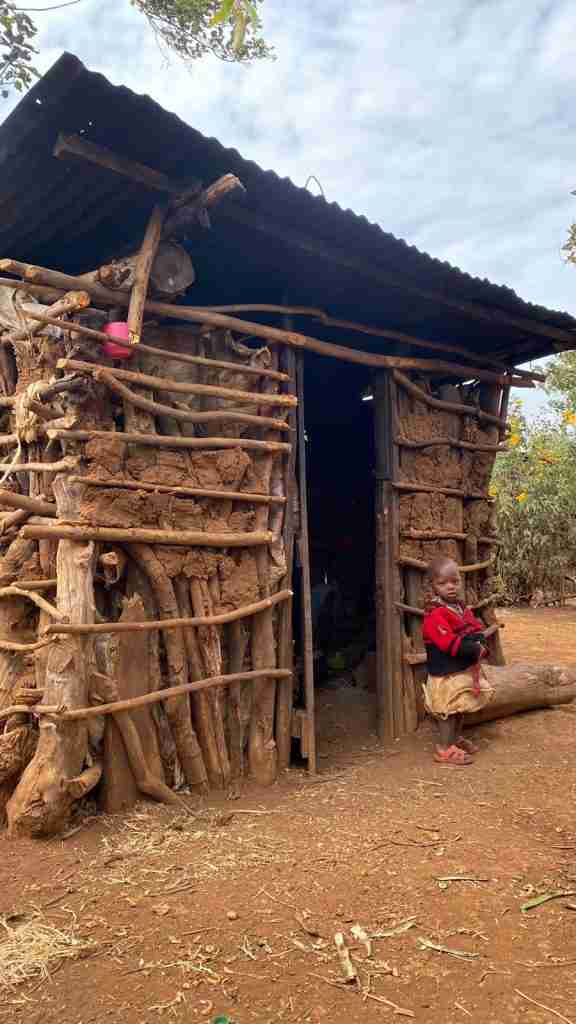 172d36f1 01c2 4254 8447 055694e067fd