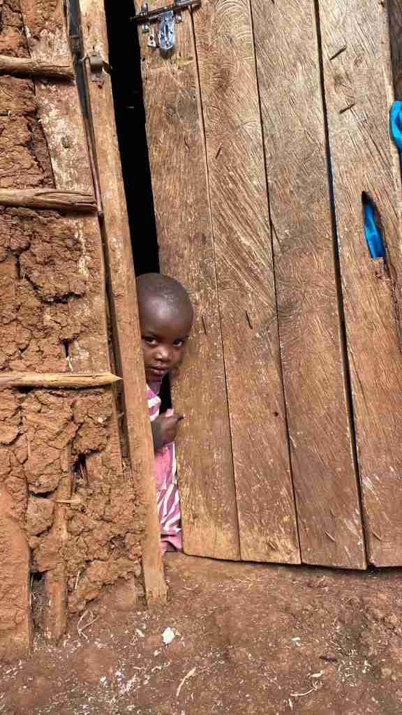 C4447d15 32e7 4a70 9c1b 50e69cff8d1b